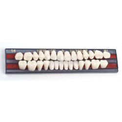 Штучні зуби (11)